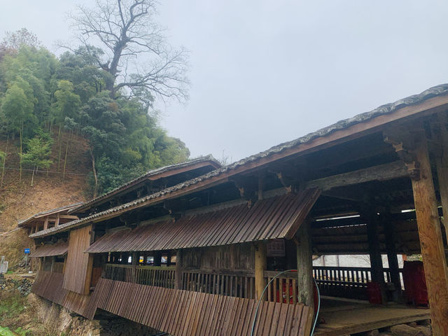 中國最古老的木構廊橋