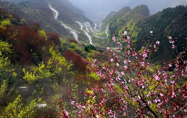 中國這個隱秘賞花地，山水遠超桂林~