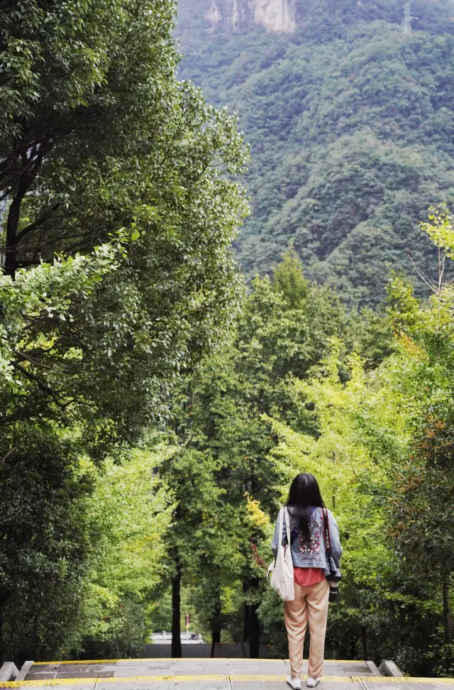 The sacred place for Chinese to worship their ancestors