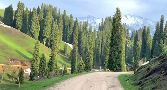 獨庫公路：穿越天山的壯麗之旅