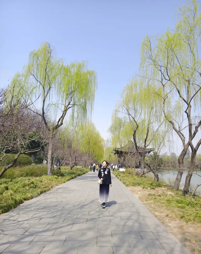 Yangzhou One-Day Tour Guide, Live Experience! Slender West Lake/Geyuan Garden/Grand Canal