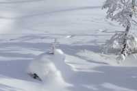 與雪來了一場浪漫的邂逅～｜幸福地在雪裡打滾