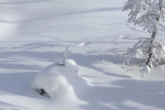 與雪來了一場浪漫的邂逅～｜幸福地在雪裡打滾