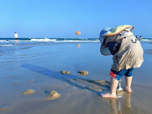 海陵島｜帶娃去挖貝殼