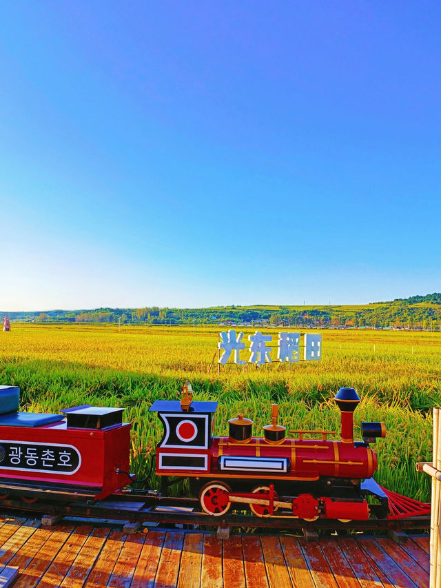 延邊小眾絕美打卡地：光東村稻田