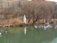 三月初的范公亭公園李清照故居已經很美