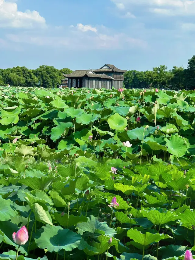 杭州｜西湖精華悠閒一日遊路線