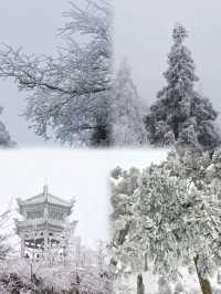 衡山大雪過後的雾凇真的美哭了