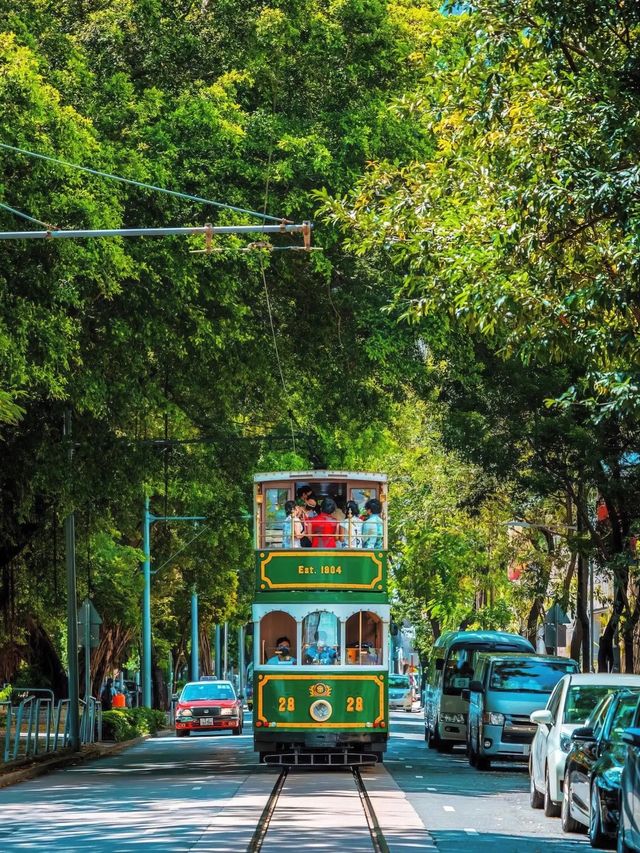 用一句話證明你去過香港 用一句話證明你去過香港