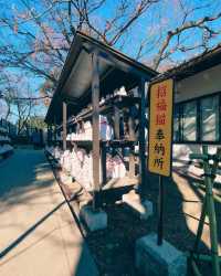 豪德寺｜東京招財貓的神社