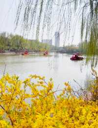 開往春天的小火車｜逛公園遛娃兩不誤！