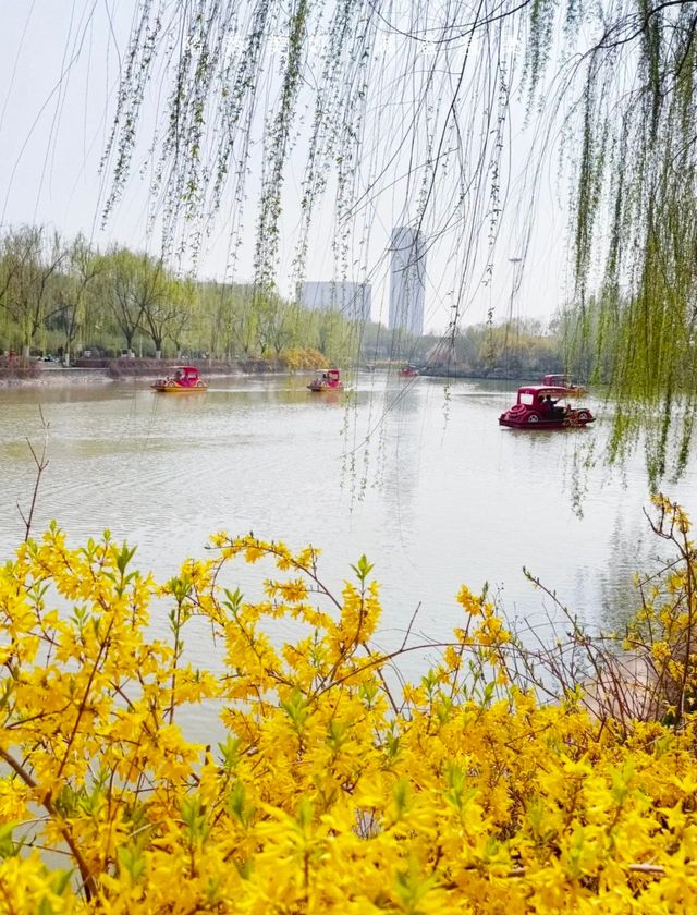 開往春天的小火車｜逛公園遛娃兩不誤！