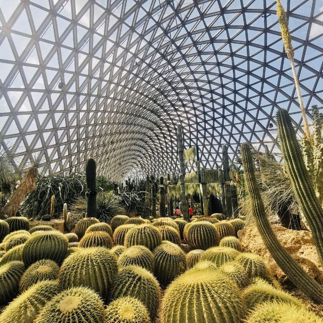 上海  /  辰山植物園