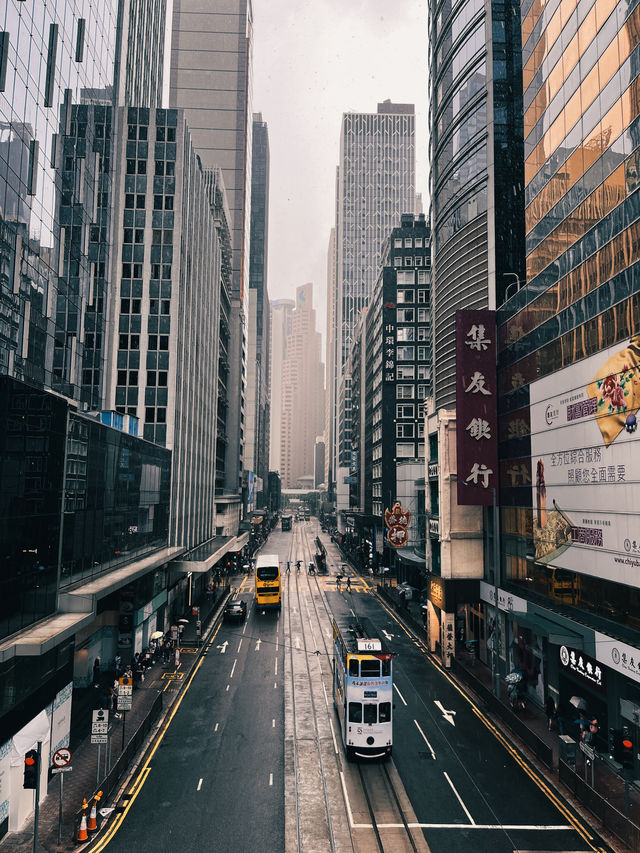 香港的潛力實在太巨大了