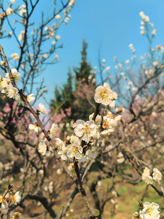 給點陽光就燦爛