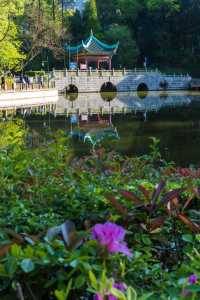 江西，你可別藏著！在鷹潭公園登閣望江賞兩岸美景