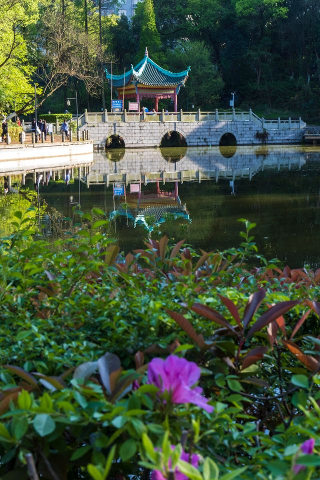 江西，你可別藏著！在鷹潭公園登閣望江賞兩岸美景