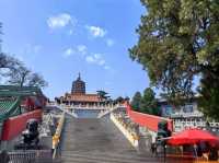 北京八大處公園｜龍年祈福