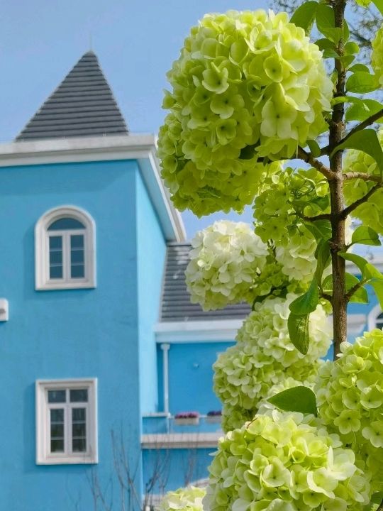 Blue Castle Park in Magic City Shanghai🇨🇳