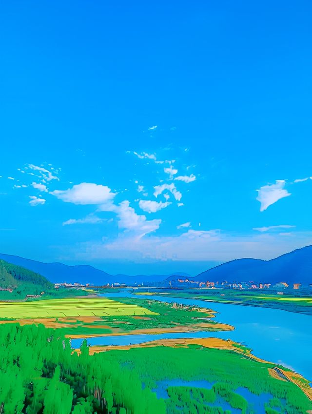 杭州油菜花海：金色海洋，心靈療癒之地！
