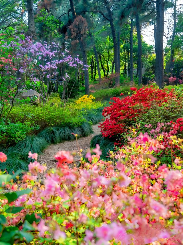 杭州已經美到下個Level現實版莫奈花園