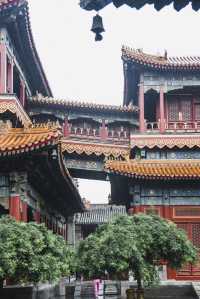 Beijing Yonghe Temple | The premier temple of the Qing Dynasty court, from which two emperors emerged.