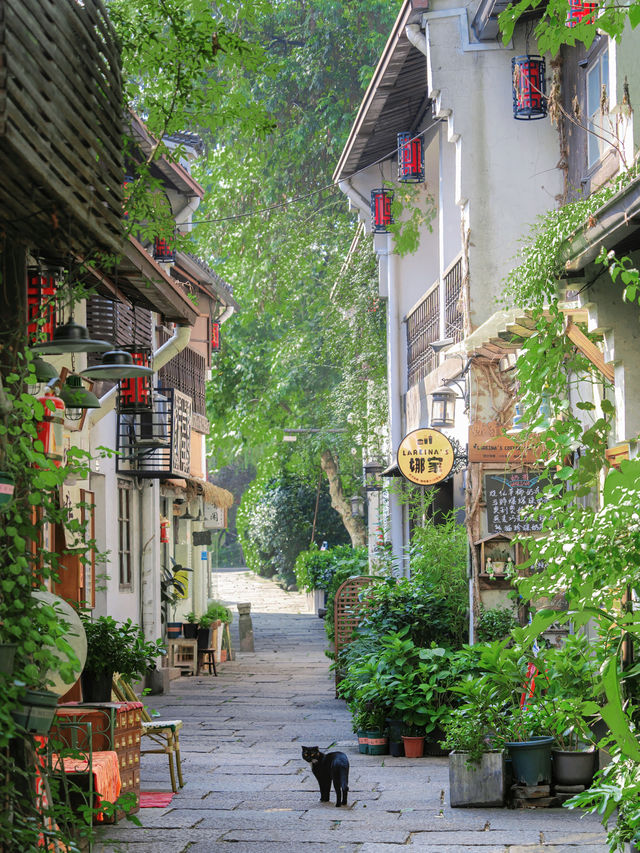 In addition to West Lake, this old street in Hangzhou is even more worthy of a visit‼️