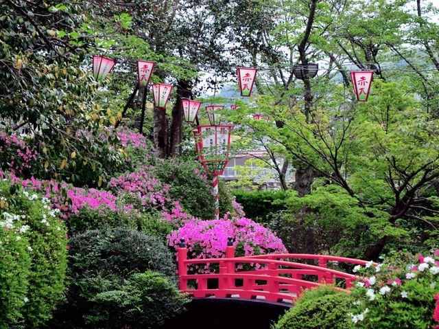 Sakura Kingdom of Utsubuki