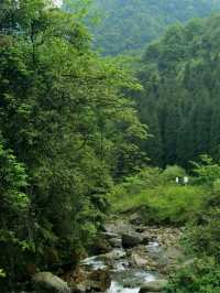 在大邑云華村的深山裡隱藏著一條清澈見底的溪流，溪水晶瑩剔透