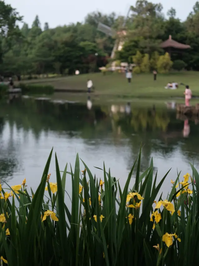 If you're visiting Hangzhou this spring, Hou Jue recommends a stroll in Prince Bay Park