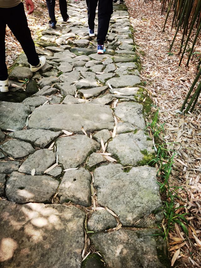 貴州百里杜鵑-大方縣一日遊