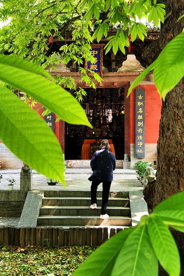 大明寺‖山西歸來不看寺，除了濟源