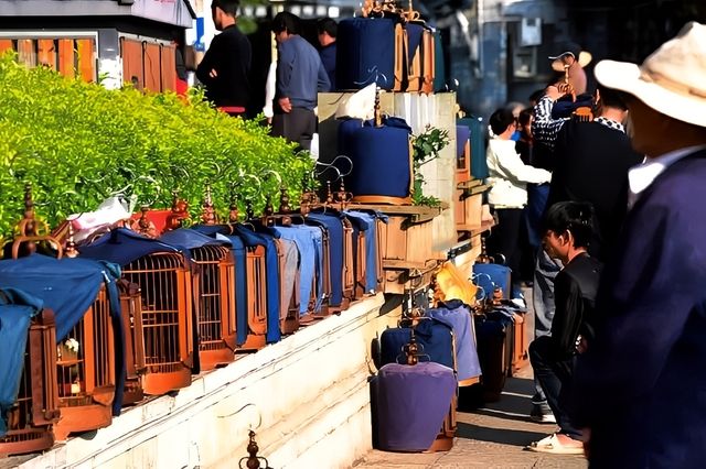 中國最後一座活著的古城，比麗江接地氣，比大理物價低