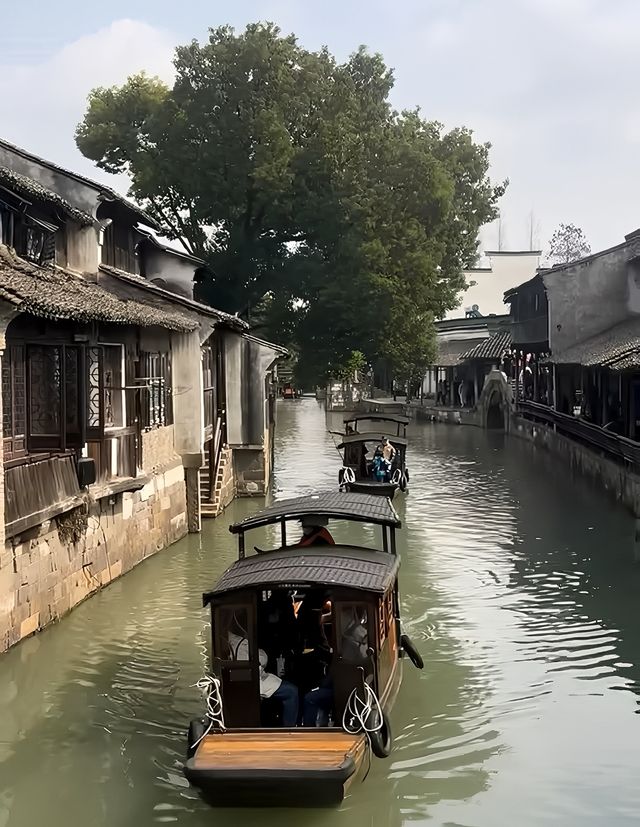 這是一座很治癒的城市，它像隱匿城市中的一座山林，節奏很慢很慢