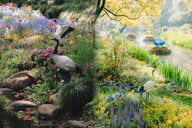 現實版莫奈花園‖上海共青森林公園