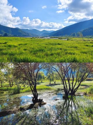 The first time I knew the name Lugu Lake was in high school