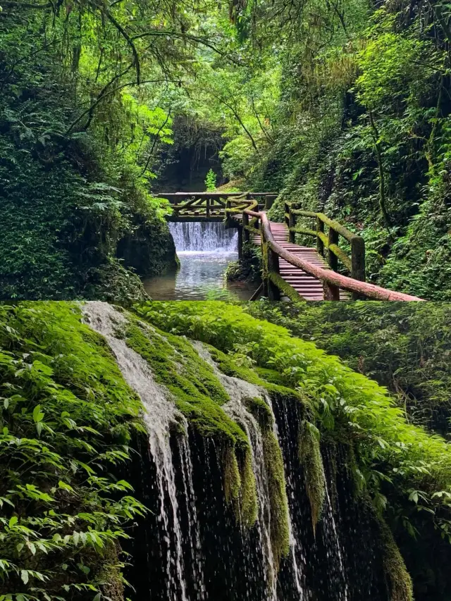 The most relaxing way to explore the back mountain of Qingcheng (maximizing the appreciation of the scenery)