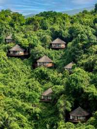 🌴 Sanya's Hidden Gem: A Nest in Paradise 🏝️