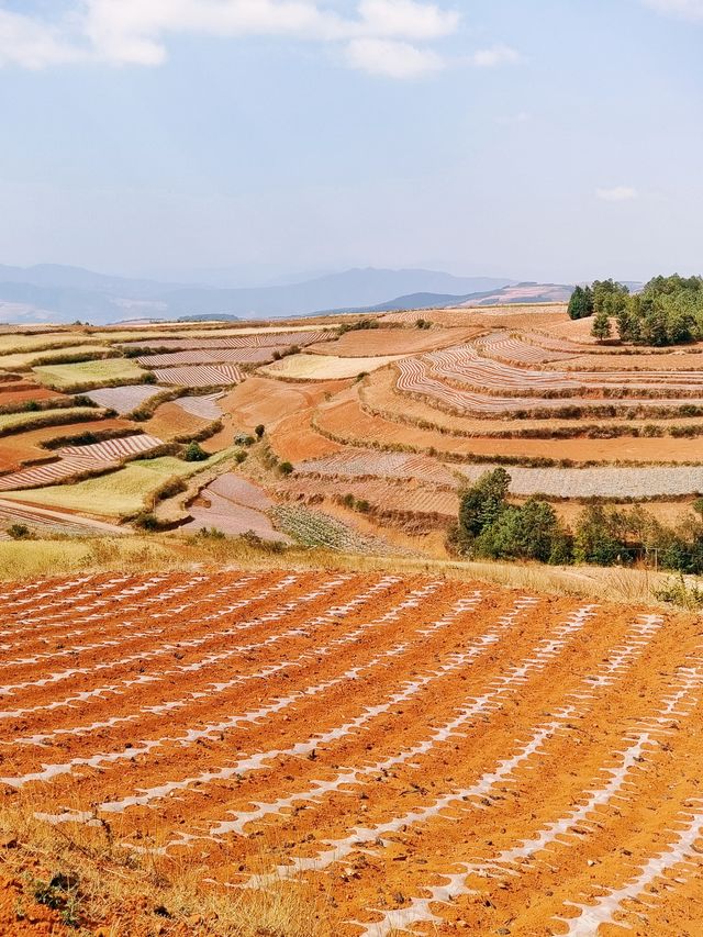 東川紅土地