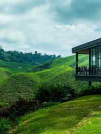 🌟🍃 Cameron Highlands' Cozy Lakehouse Retreat 🍃🌟