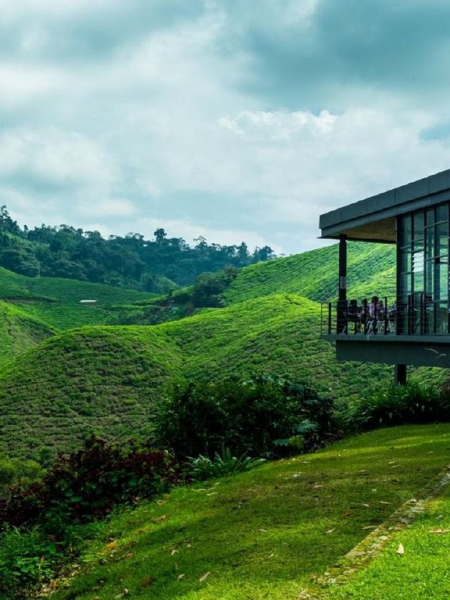 🌟🍃 Cameron Highlands' Cozy Lakehouse Retreat 🍃🌟