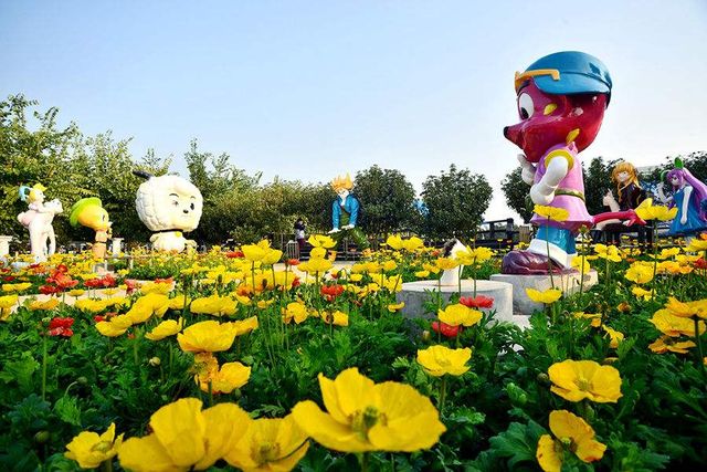 廣州南沙百萬葵園，春季賞花聖地。