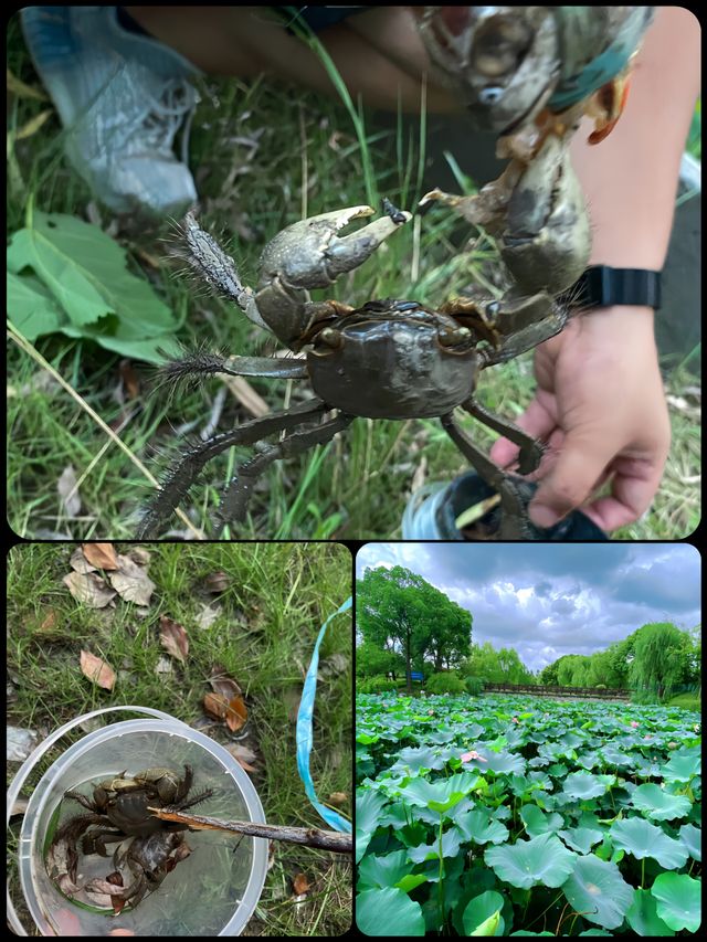 上海的這座公園簡直太驚豔啦真的超級有奈良的感覺呀