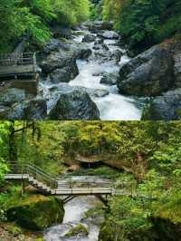雅安龍苍溝疊翠溪風景區