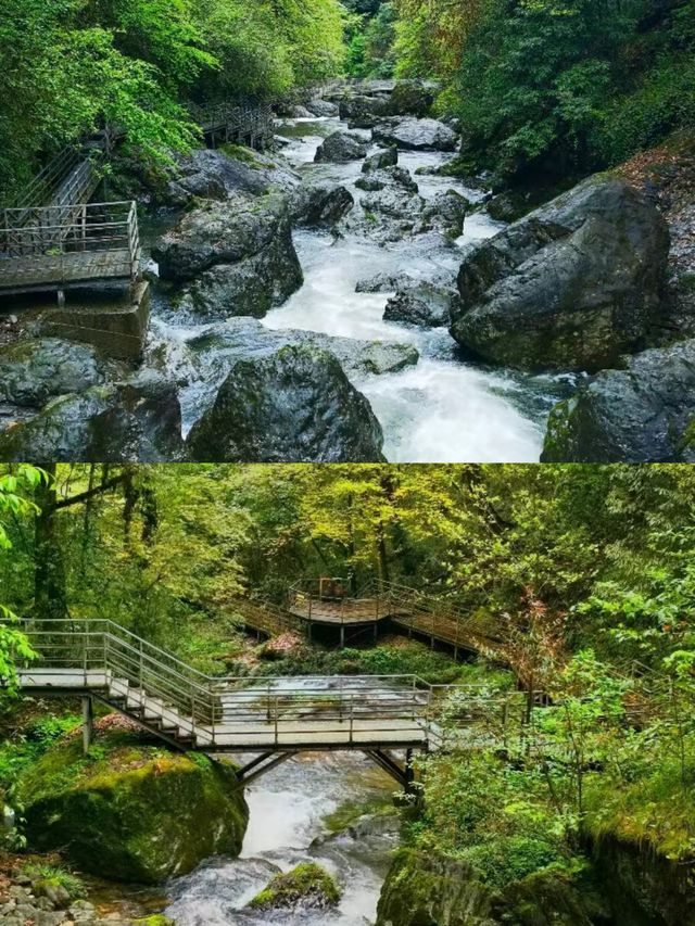 雅安龍苍溝疊翠溪風景區