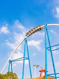 🌟 Wuhan's Top Family-Friendly Attractions Unveiled 🎡👨‍👩‍👧‍👦