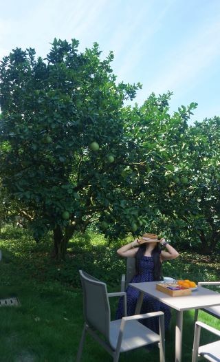 Escape to this guesthouse surrounded by pomelos for the summer vacation