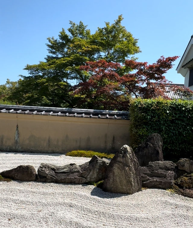 京都從北到南有頂天家族巡禮加大德寺枯山水citywalk路線