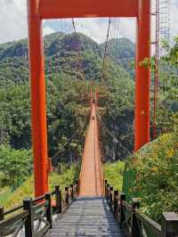 發現一個寶藏旅遊地～九路寨|打卡保康九路寨生態旅遊區