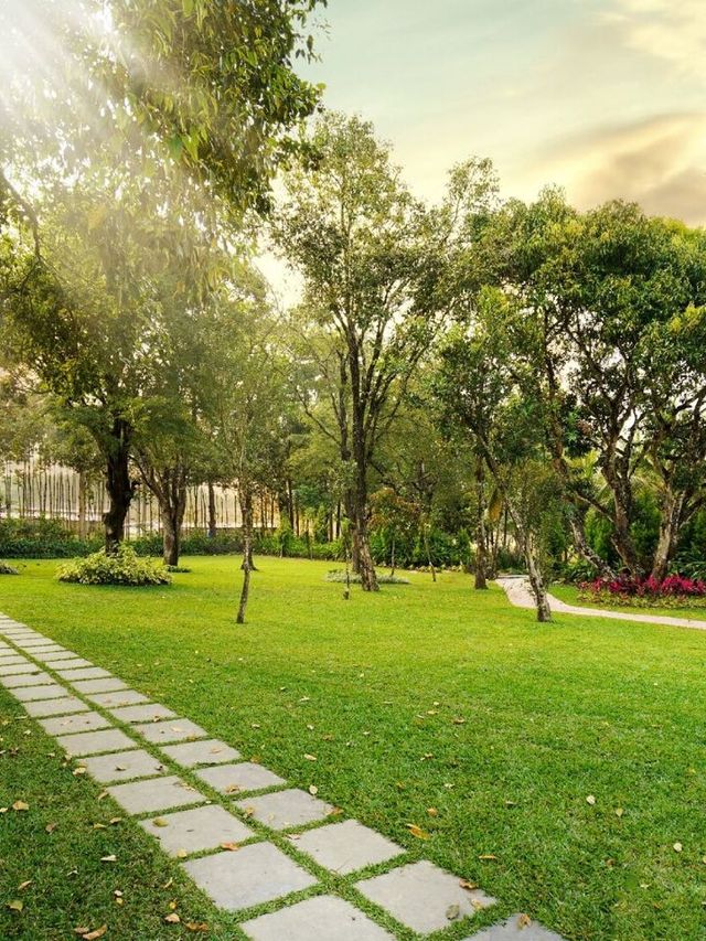 🌟 Sakleshpura Staycation Secrets 🌿✨